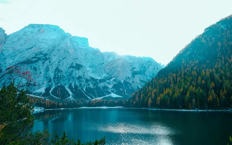 高端智慧